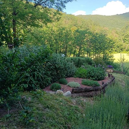 Locanda Di Alberi Borgo San Lorenzo Εξωτερικό φωτογραφία