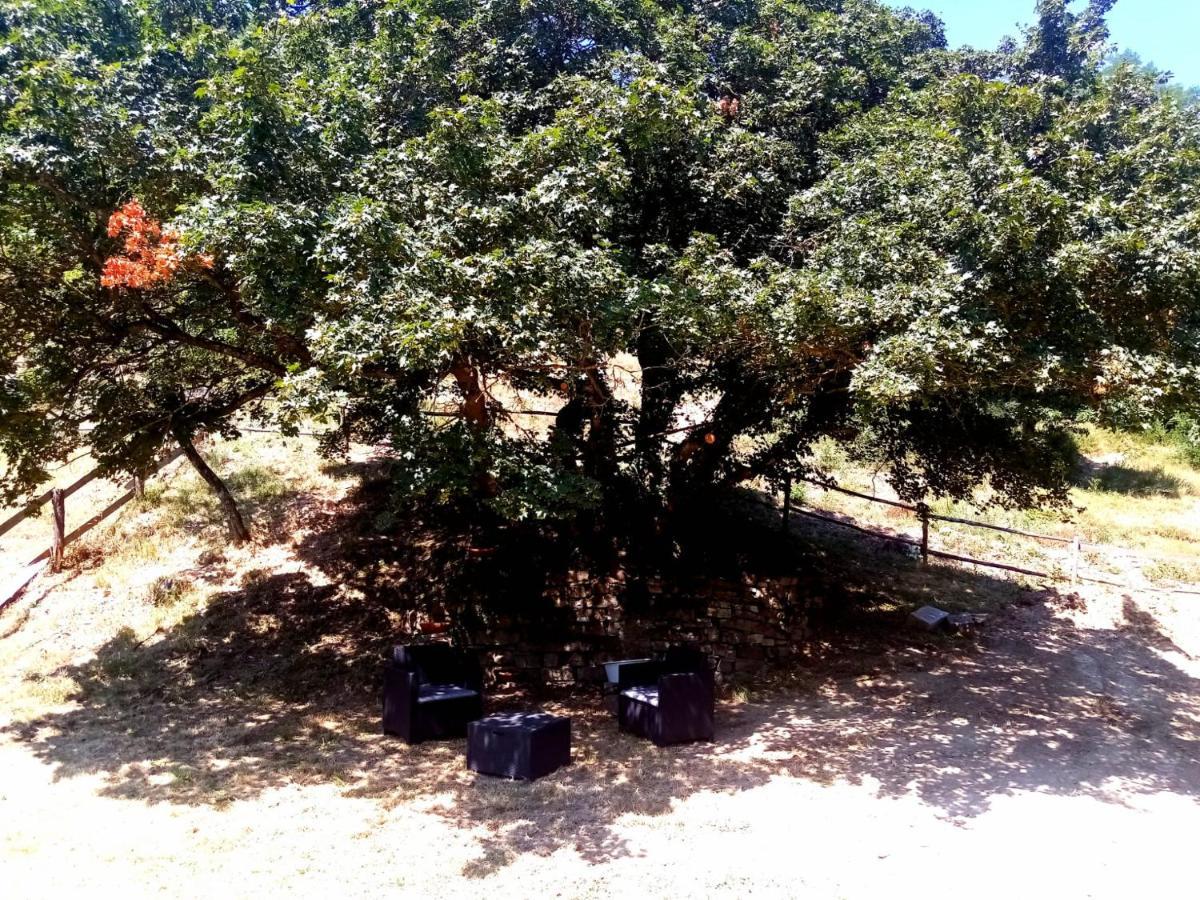 Locanda Di Alberi Borgo San Lorenzo Εξωτερικό φωτογραφία
