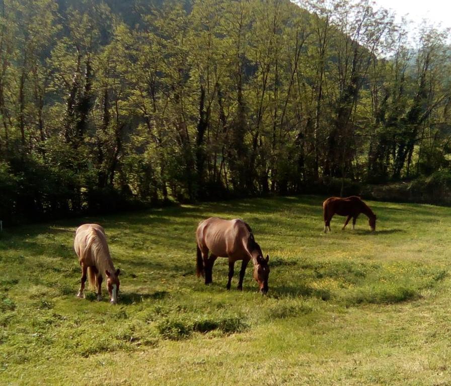 Locanda Di Alberi Borgo San Lorenzo Εξωτερικό φωτογραφία