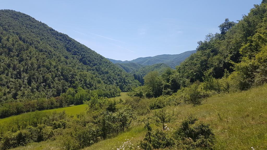 Locanda Di Alberi Borgo San Lorenzo Εξωτερικό φωτογραφία